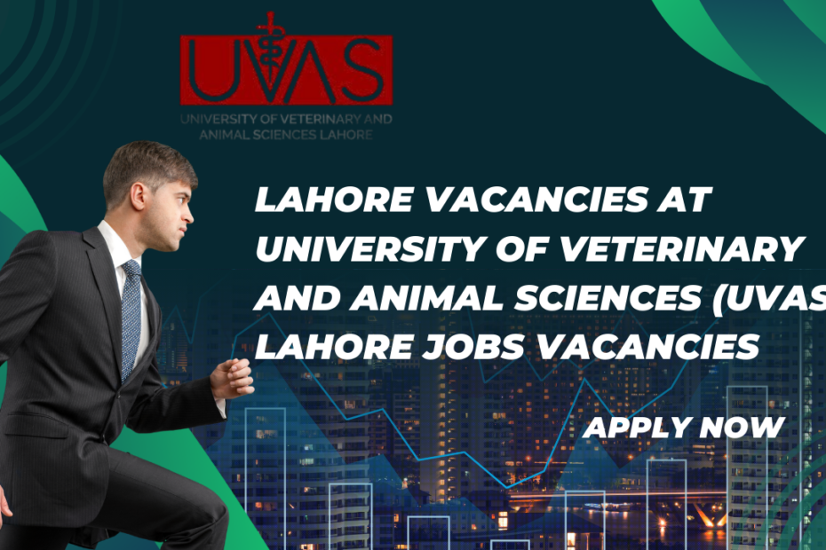 Lahore Vacancies